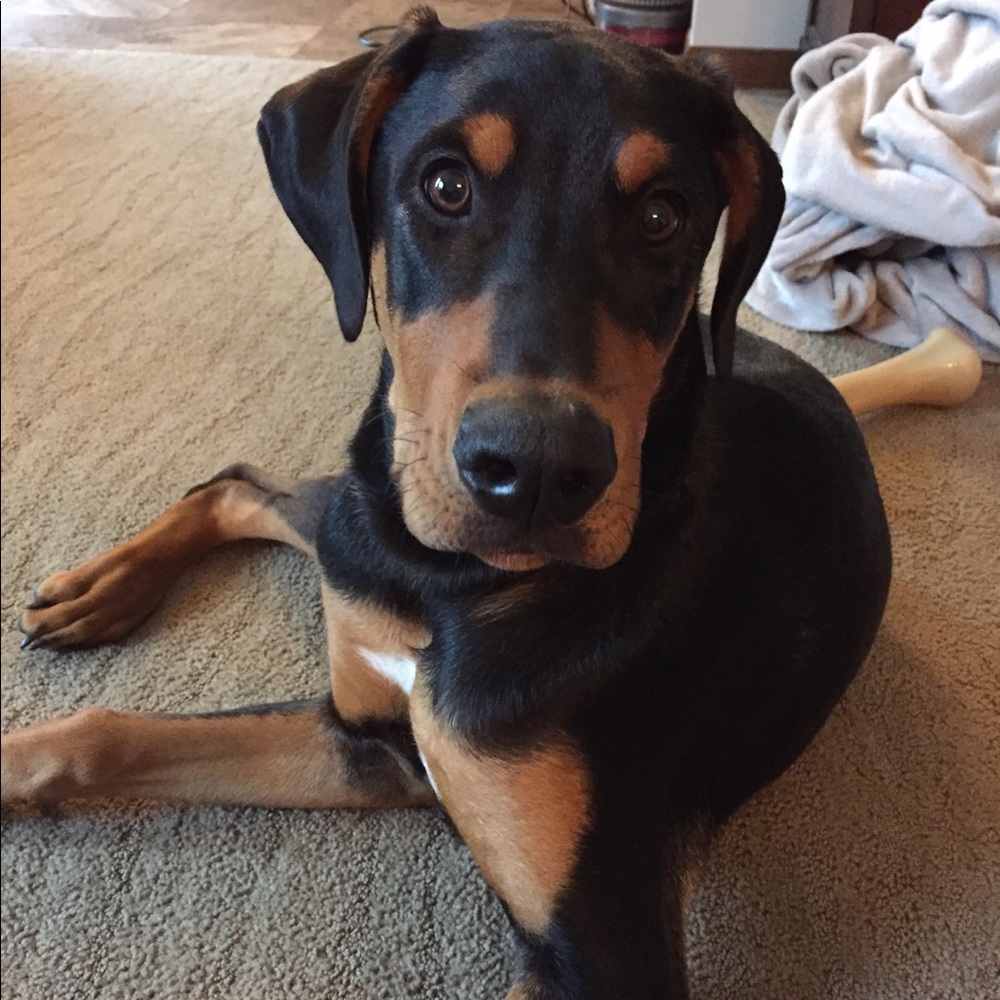 Meet your Posher, Tanya